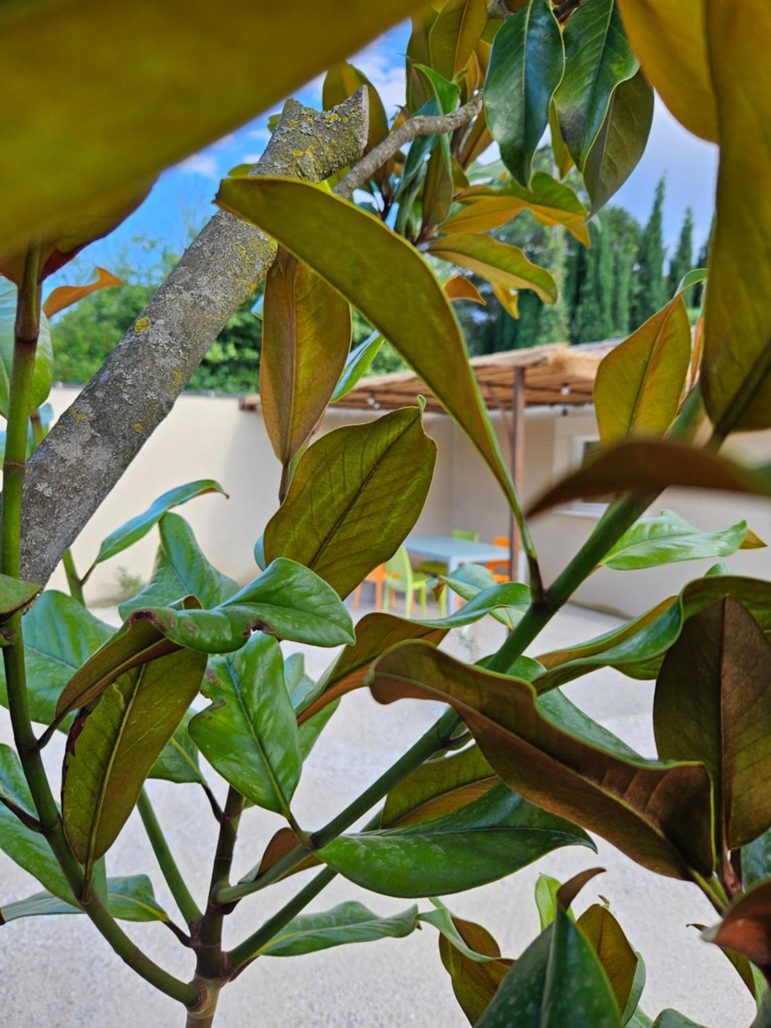 Le Rubiz Apartment La Coucourde ภายนอก รูปภาพ
